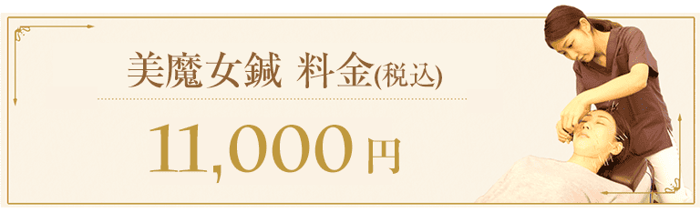料金(税込み) 11,000円